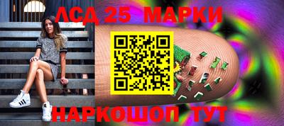 шишки Донской