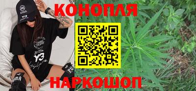 шишки Донской