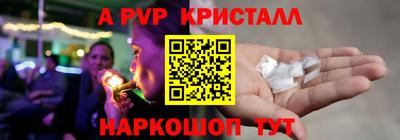 шишки Донской