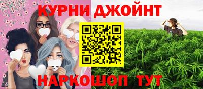 шишки Донской