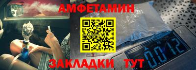 шишки Донской
