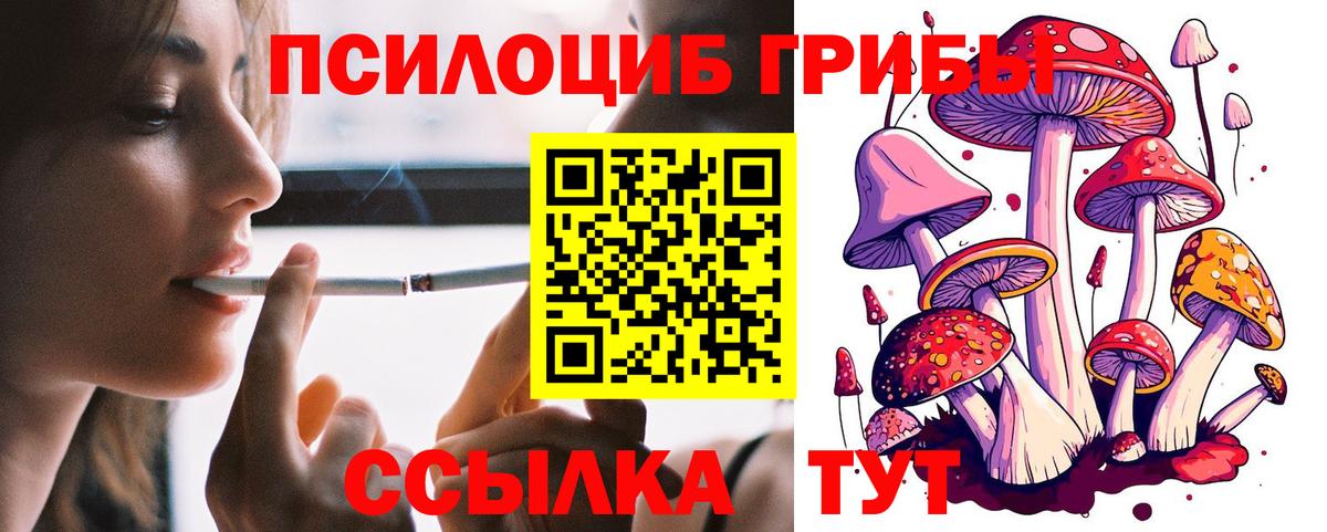 Псилоцибиновые грибы Magic Shrooms  Вход с VPN  Новотроицк 